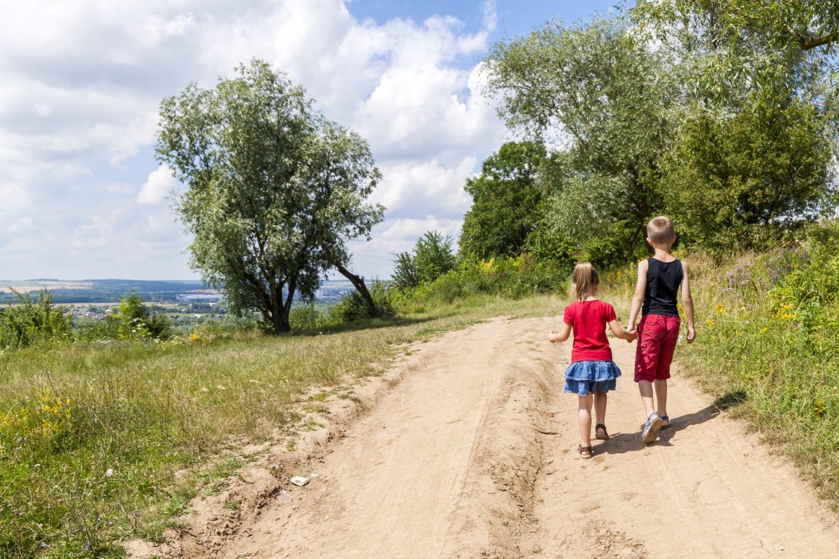 Alquiler de furgonetas para una escapada rural