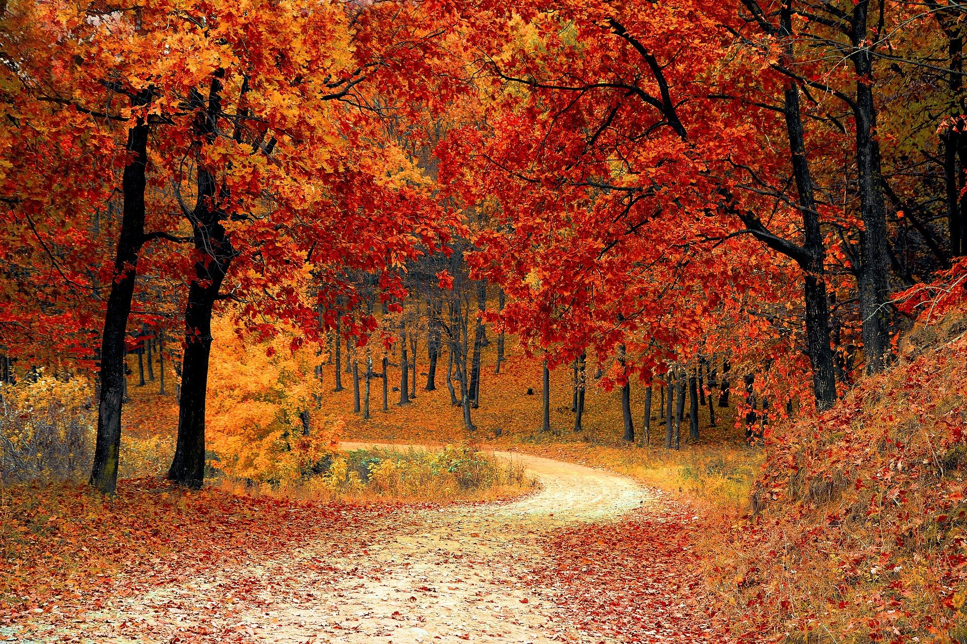 excursiones en furgoneta en otoño